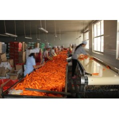 現(xiàn)貨供應(yīng)皮帶輸送機