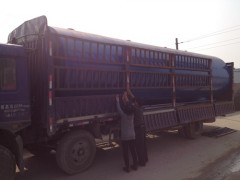 處理效率高 地埋式養殖污水處理設備 小水量