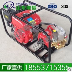 林業(yè)框架式動力噴霧機價格