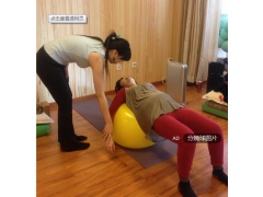 導樂球生產(chǎn)廠家  兩種型號   任你選擇