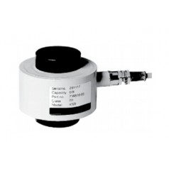 美國(guó)VPG控制系統(tǒng)