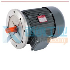 意大利melegari三相異步電動機