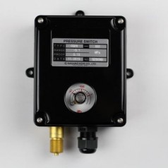 長(zhǎng)野計(jì)器NAGANOKEIKI壓力開(kāi)關(guān)CQ20-333(H)×1MPa/CQ20-333(L)