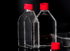 T75細胞培養(yǎng)瓶，透氣蓋