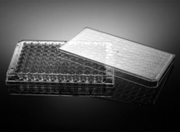 NEST® 96孔細(xì)胞培養(yǎng)板，透明，平底，PS，TC，EB滅菌 701001