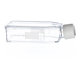 懸浮細胞培養(yǎng)瓶（懸浮式，滅菌） 690190 50ml，白色標準蓋