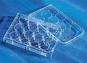 康寧/Corning12孔細胞培養板3513 TC表面，無菌無熱源