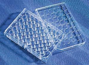 康寧/Corning48孔細胞培養板3548 TC表面，無菌無熱源