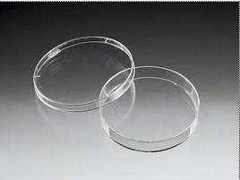 BD-353803一次性細胞培養皿