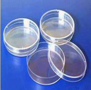 葛來娜/Greiner 細胞培養皿-627160