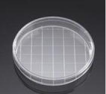 BD Falcon 網格型標準平皿培養皿 353025 150×25mm,標準TC