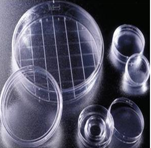 BD細菌學巴氏培養皿351008