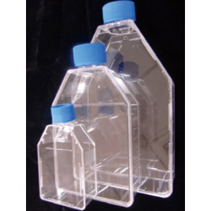 LabServ細(xì)胞培養(yǎng)瓶，25cm2透氣蓋，TC處理