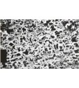 25007-013 N德國(guó)Sartorius尼龍濾膜(Polyamide）