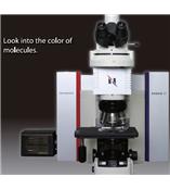 RAMAN-11面掃描共聚焦拉曼系統