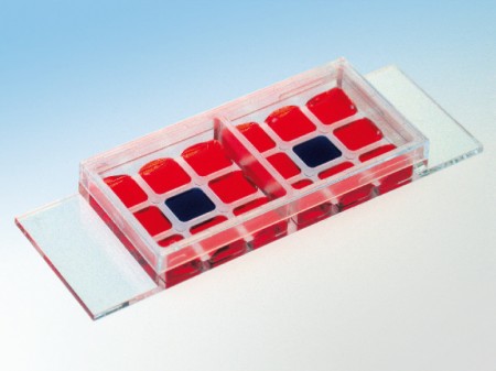 ibidi，易必迪細胞共培養(yǎng)Co-Cultivation μ-Slide 2 x 9 well