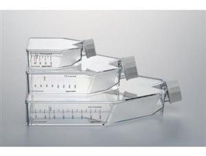 細胞培養瓶（T-25，0030710118）