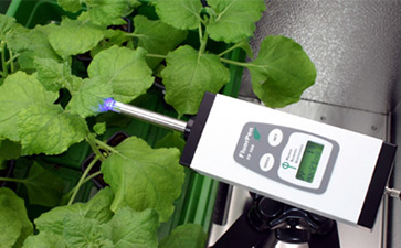 Monitoring Pen MP 100植物葉綠素熒光測量儀