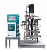 實驗室不銹鋼生物反應器