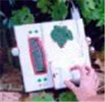 手持式葉面積儀， 便攜式葉面積測(cè)量?jī)x