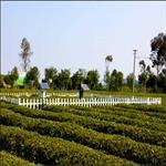 自動氣象站設備六要素氣象局自動氣象站觀測系統