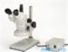 顯微鏡錦之堂:體視顯微鏡NSZ-70系列雙目、三目型