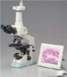 進(jìn)口尼康雙目生物顯微鏡|奧林巴斯生物顯微鏡|雙目生物顯微鏡價格使用
