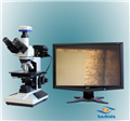 供應(yīng) 超大視野 高倍數(shù) 高清晰 可測量 金相顯微鏡BD-2030A