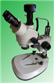 連續變倍實體顯微鏡