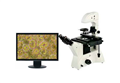 安徽數碼倒置顯微鏡ME41