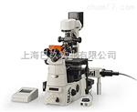 尼康ECLIPSE MA200倒置金相顯微鏡 Nikon新品金相顯微鏡價(jià)格