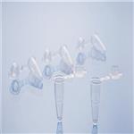 PCR Tube管|pcr管熒光定量PCR單管@頭條熱點(diǎn)新聞